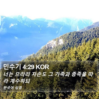 민수기 4:29 KOR Bible Verse Image