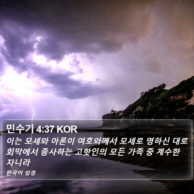 민수기 4:37 KOR Bible Verse Image