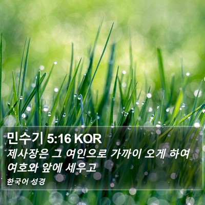 민수기 5:16 KOR Bible Verse Image