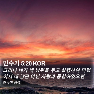 민수기 5:20 KOR Bible Verse Image