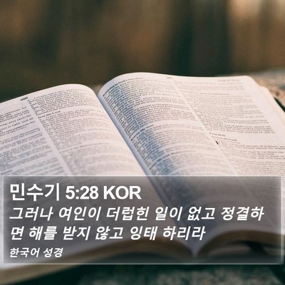 민수기 5:28 KOR Bible Verse Image