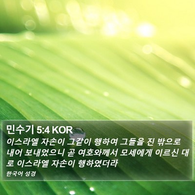 민수기 5:4 KOR Bible Verse Image