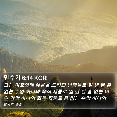 민수기 6:14 KOR Bible Verse Image