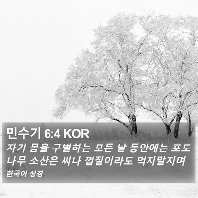 민수기 6:4 KOR Bible Verse Image