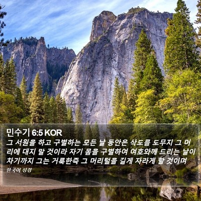민수기 6:5 KOR Bible Verse Image