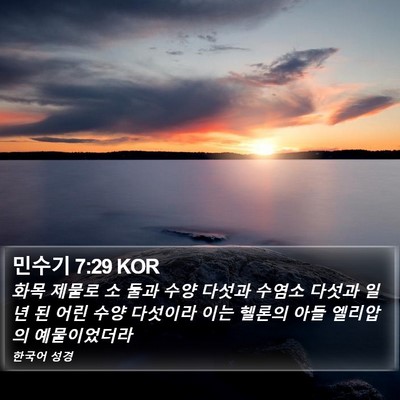 민수기 7:29 KOR Bible Verse Image