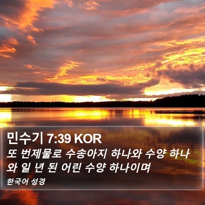 민수기 7:39 KOR Bible Verse Image