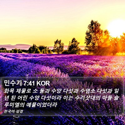 민수기 7:41 KOR Bible Verse Image