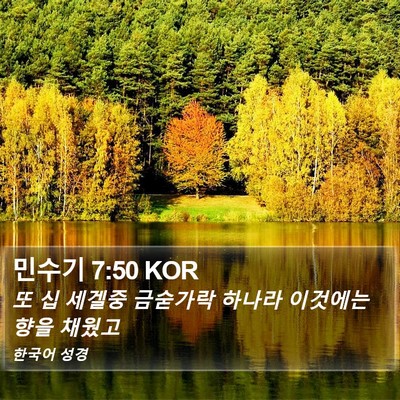 민수기 7:50 KOR Bible Verse Image