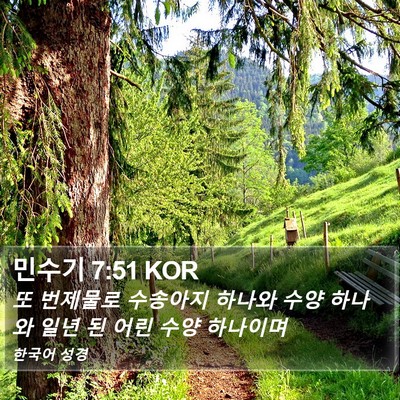 민수기 7:51 KOR Bible Verse Image
