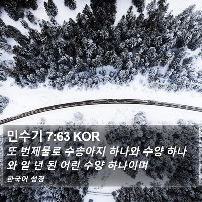 민수기 7:63 KOR Bible Verse Image
