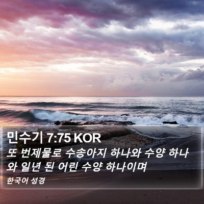 민수기 7:75 KOR Bible Verse Image