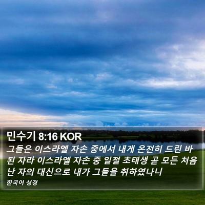 민수기 8:16 KOR Bible Verse Image