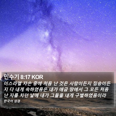 민수기 8:17 KOR Bible Verse Image