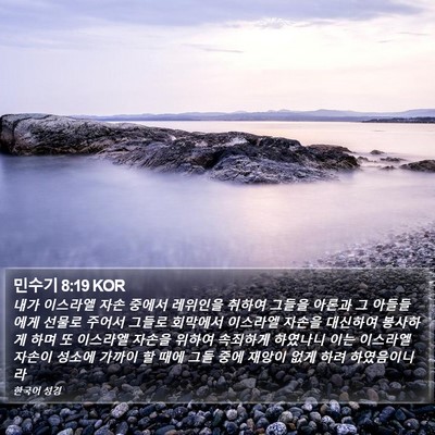 민수기 8:19 KOR Bible Verse Image