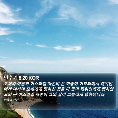 민수기 8:20 KOR Bible Verse Image