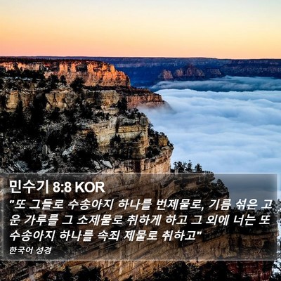 민수기 8:8 KOR Bible Verse Image