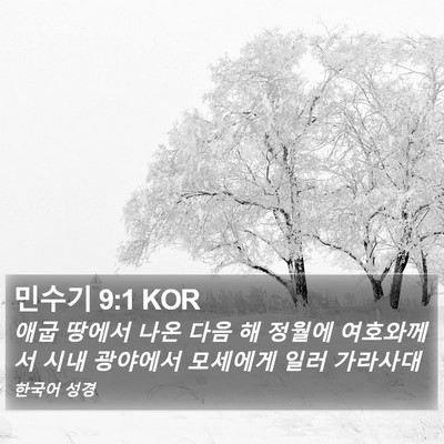 민수기 9:1 KOR Bible Verse Image