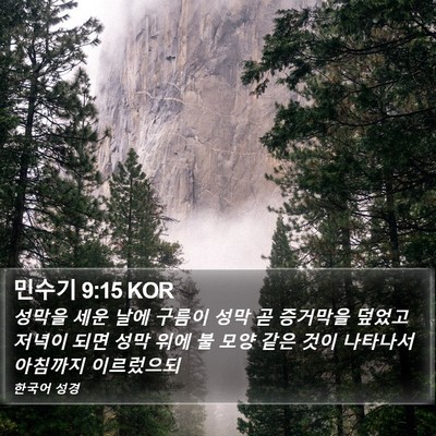 민수기 9:15 KOR Bible Verse Image