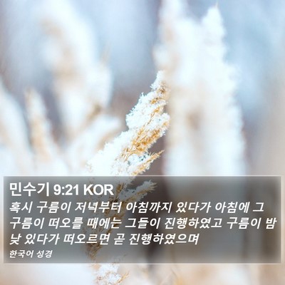 민수기 9:21 KOR Bible Verse Image