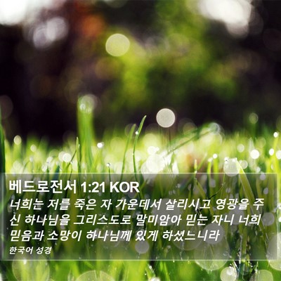 베드로전서 1:21 KOR Bible Verse Image