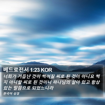 베드로전서 1:23 KOR Bible Verse Image