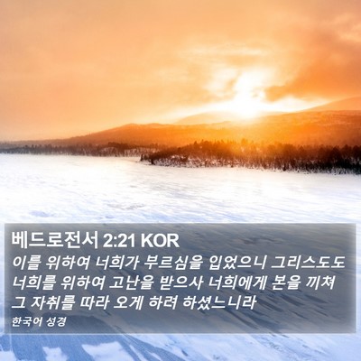 베드로전서 2:21 KOR Bible Verse Image