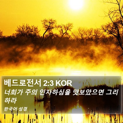 베드로전서 2:3 KOR Bible Verse Image