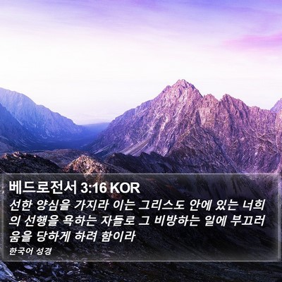 베드로전서 3:16 KOR Bible Verse Image