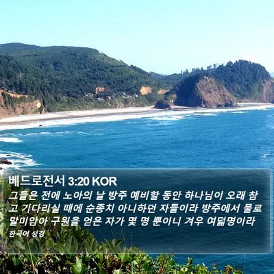 베드로전서 3:20 KOR Bible Verse Image