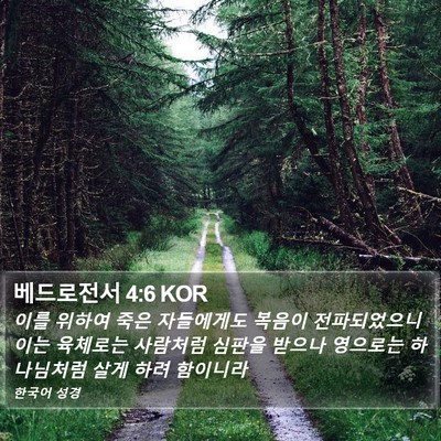 베드로전서 4:6 KOR Bible Verse Image