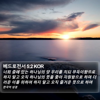 베드로전서 5:2 KOR Bible Verse Image
