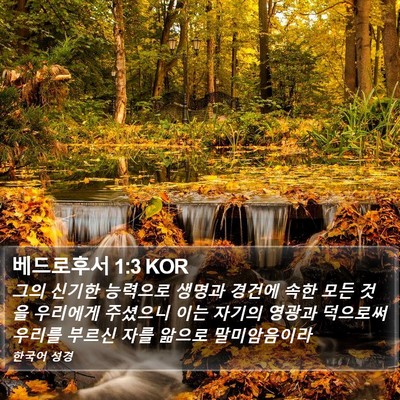 베드로후서 1:3 KOR Bible Verse Image