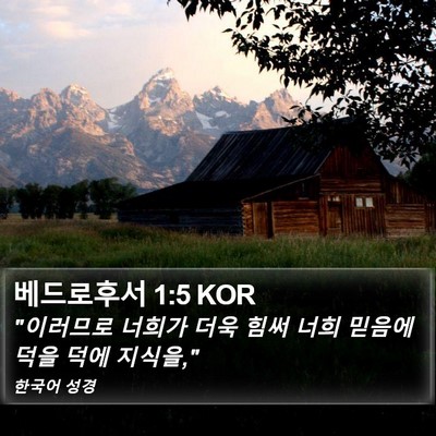 베드로후서 1:5 KOR Bible Verse Image