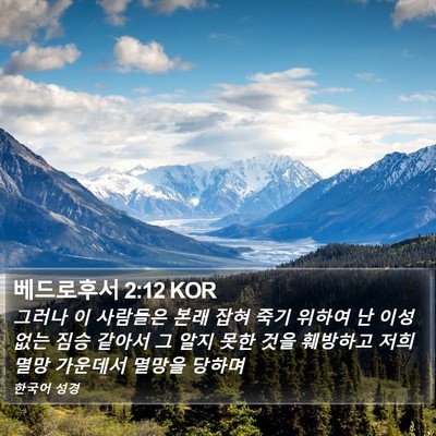 베드로후서 2:12 KOR Bible Verse Image