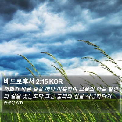 베드로후서 2:15 KOR Bible Verse Image