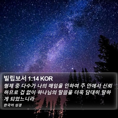 빌립보서 1:14 KOR Bible Verse Image