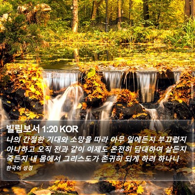 빌립보서 1:20 KOR Bible Verse Image