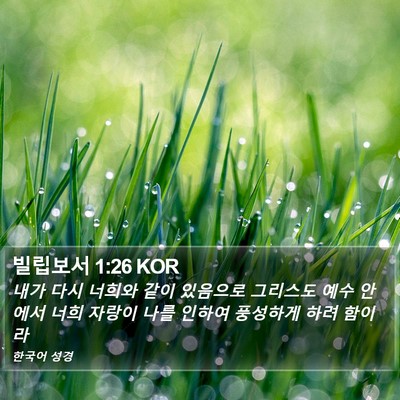 빌립보서 1:26 KOR Bible Verse Image