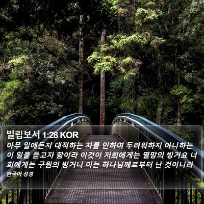 빌립보서 1:28 KOR Bible Verse Image