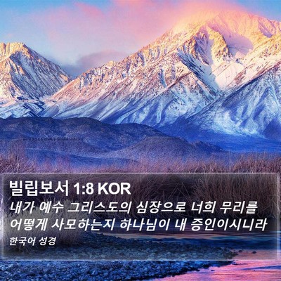빌립보서 1:8 KOR Bible Verse Image