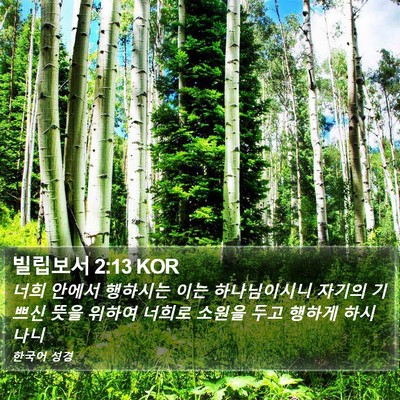 빌립보서 2:13 KOR Bible Verse Image