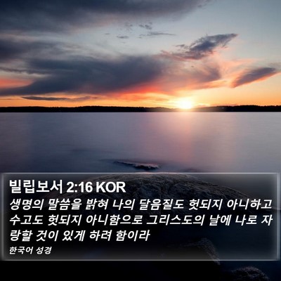빌립보서 2:16 KOR Bible Verse Image