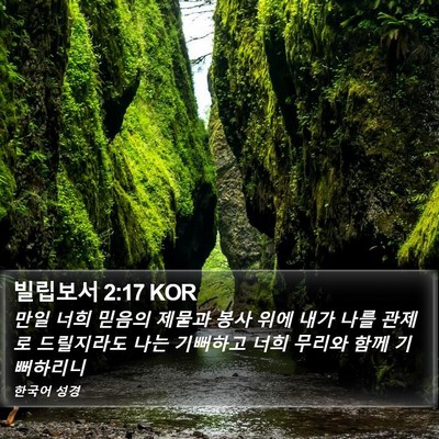 빌립보서 2:17 KOR Bible Verse Image