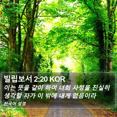빌립보서 2:20 KOR Bible Verse Image
