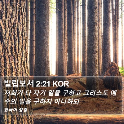 빌립보서 2:21 KOR Bible Verse Image