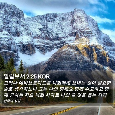 빌립보서 2:25 KOR Bible Verse Image