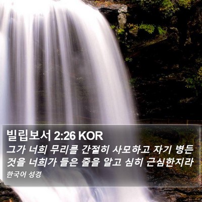 빌립보서 2:26 KOR Bible Verse Image