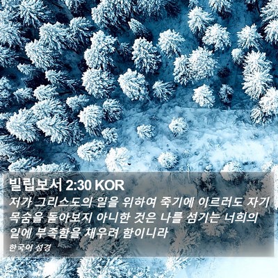 빌립보서 2:30 KOR Bible Verse Image