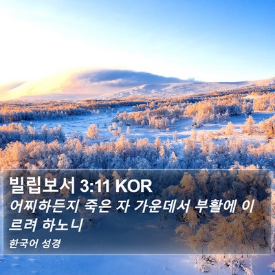 빌립보서 3:11 KOR Bible Verse Image